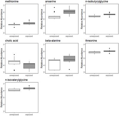 Short Report: Using Targeted Urine Metabolomics to Distinguish Between Manganese Exposed and Unexposed Workers in a Small Occupational Cohort